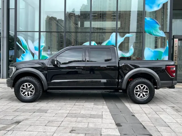 Ford F-150 Raptor — Фото автомобиля 7