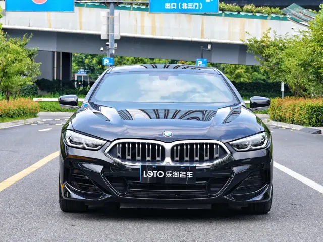 BMW 8 Series — Фото автомобиля 2