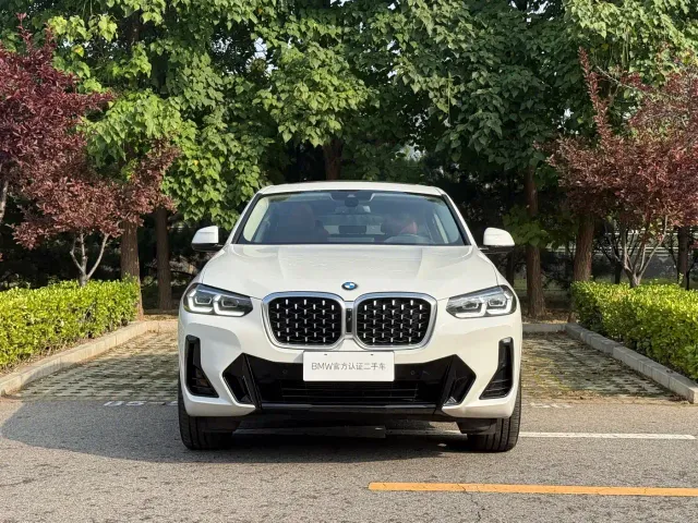 BMW X4 — Фото автомобиля 5