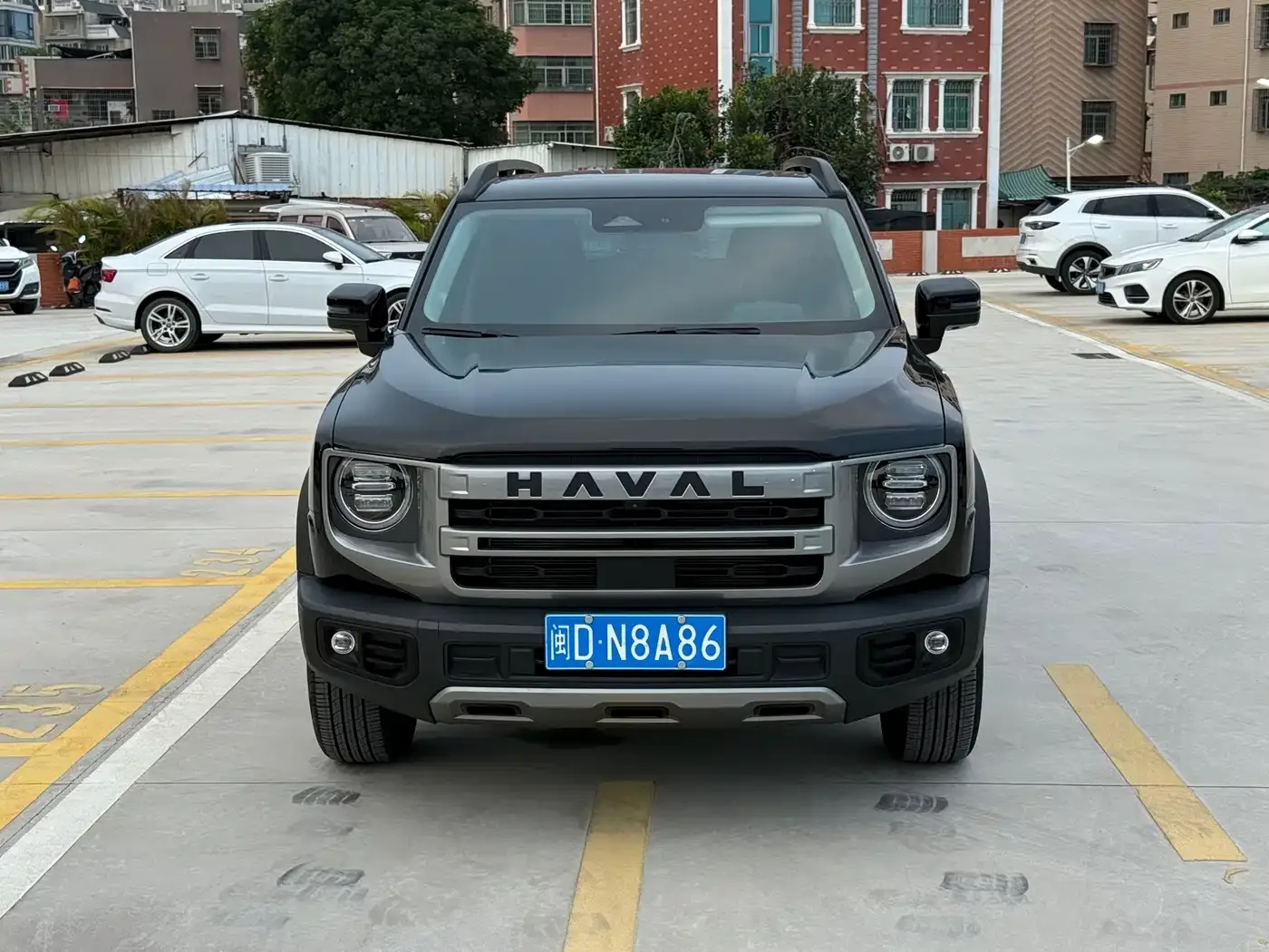 Haval Haval Big Dog 2024 1.5T DCT Border Collie Edition — Фото автомобиля 2