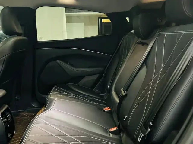 Ford Mustang Mach-E — Фото автомобиля 9