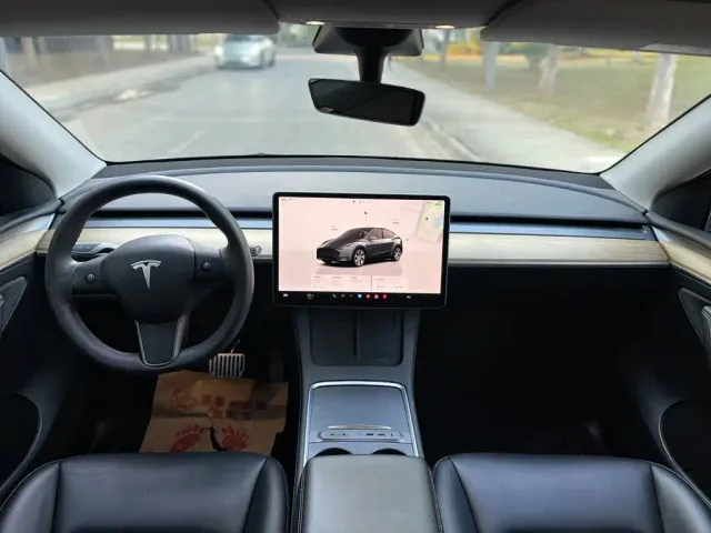 Tesla Model Y — Фото автомобиля 20