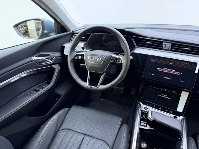 Audi e-tron — Фото автомобиля 12