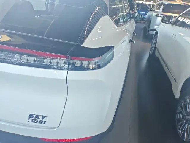 Dongfeng SKY EV01 — Фото автомобиля 7