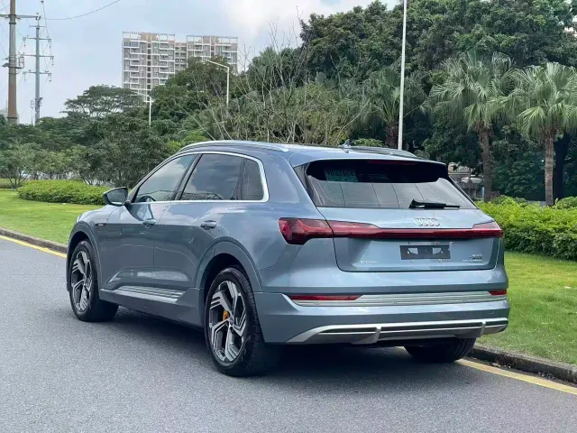 Audi Audi e-tron 2021 50 quattro Exclusive Selection — Фото автомобиля 4
