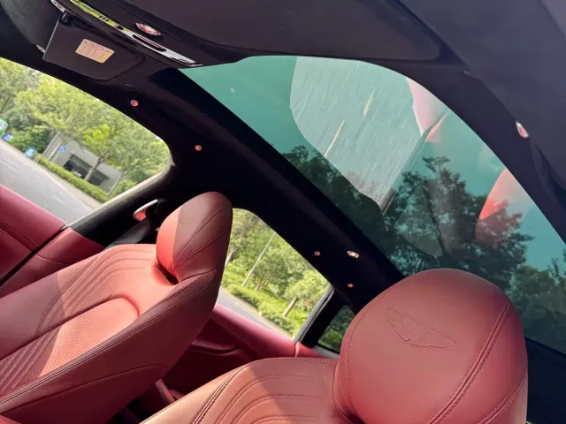 Aston Martin DBX — Фото автомобиля 20