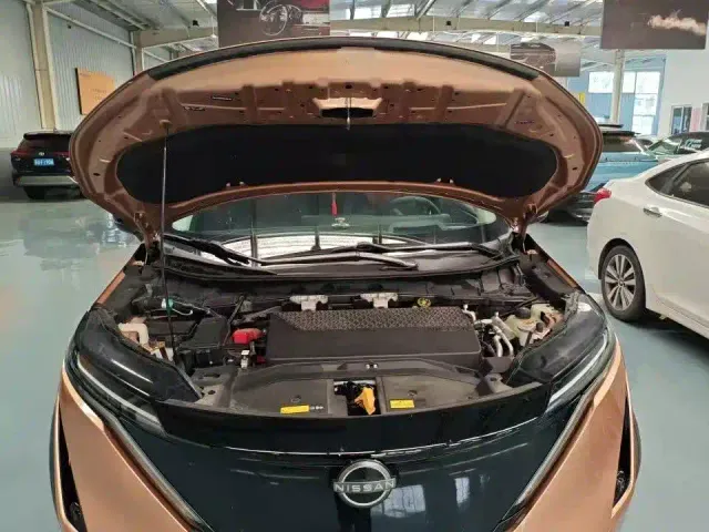 Nissan Ariya — Фото автомобиля 9