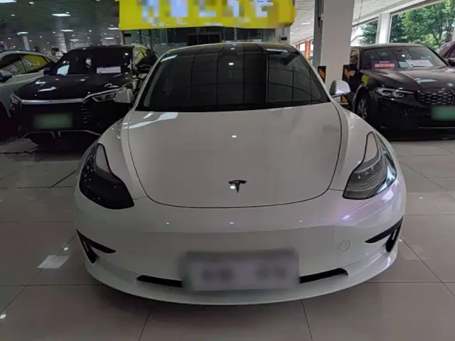 Tesla Model 3 2022 Model Rear-Wheel Drive Version — Фото автомобиля 2