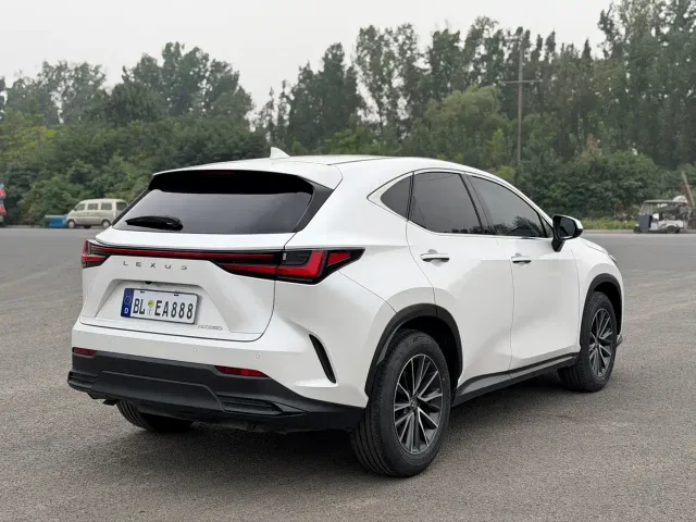 Lexus Lexus NX 2022 260 FWD Innovation Edition — Фото автомобиля 11