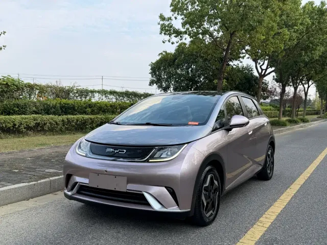 Фотография автомобиля — BYD Dolphin