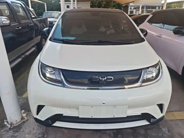 BYD Dolphin — Фото автомобиля 2