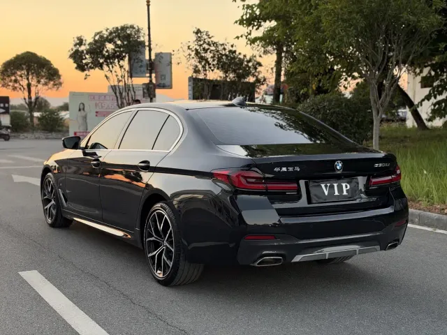 BMW 5 Series — Фото автомобиля 5