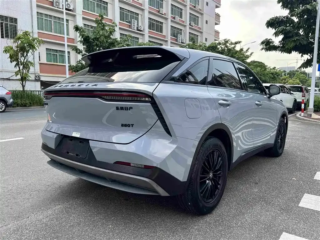 Venucia Venucia Big V 2023 260T Idol Edition Pro — Фото автомобиля 8