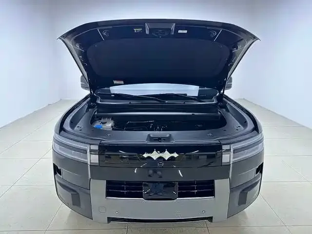 BYD FangChengBao Titanium 7 — Фото автомобиля 17