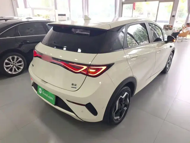 BYD Dolphin — Фото автомобиля 6