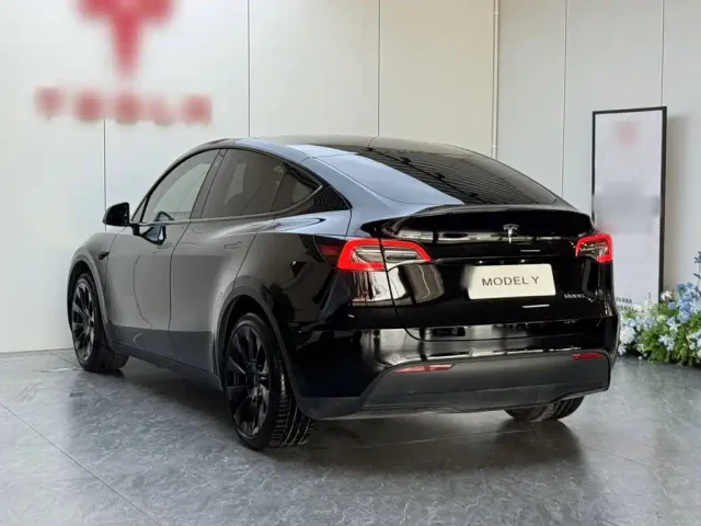 Tesla Model Y — Фото автомобиля 4