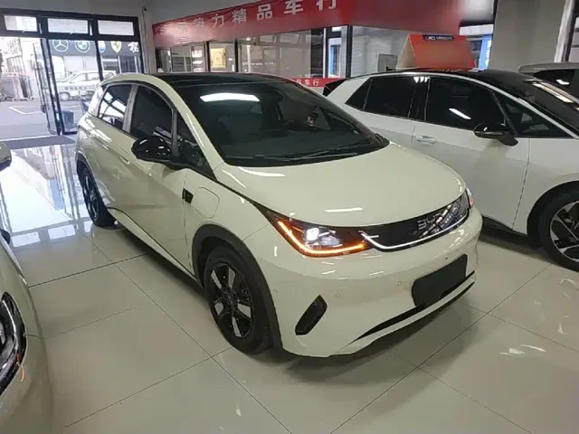 BYD Dolphin — Фото автомобиля 3