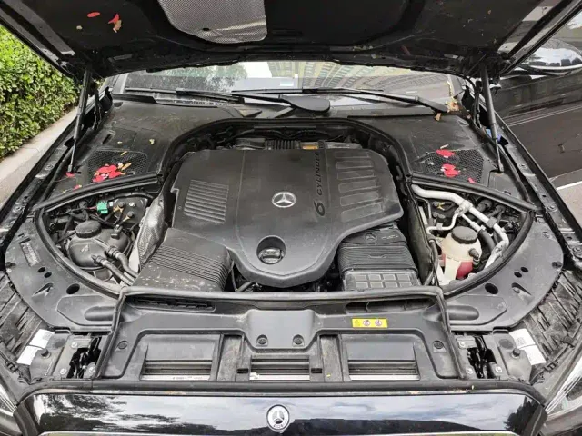 Mercedes-Benz S-Class — Фото автомобиля 10