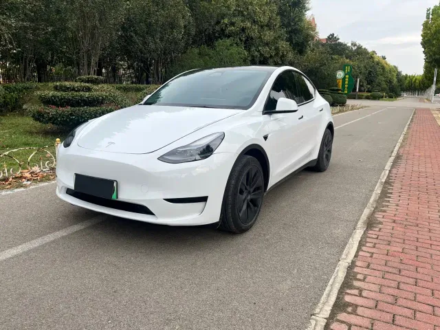 Tesla Model Y — Фото автомобиля 3