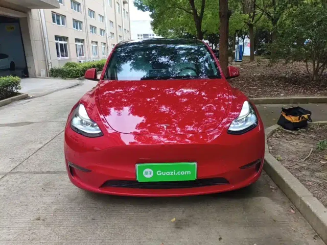 Tesla Model Y — Фото автомобиля 2