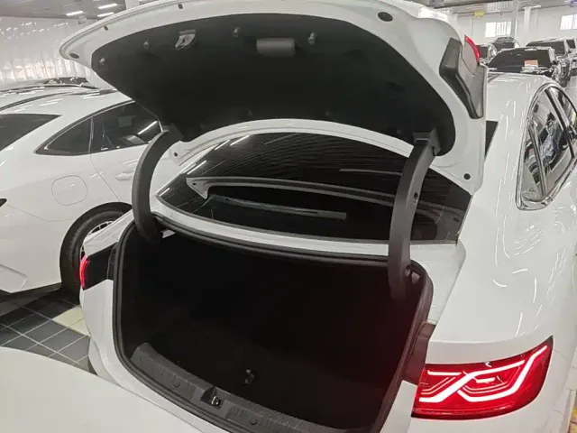 BYD Qin L — Фото автомобиля 18