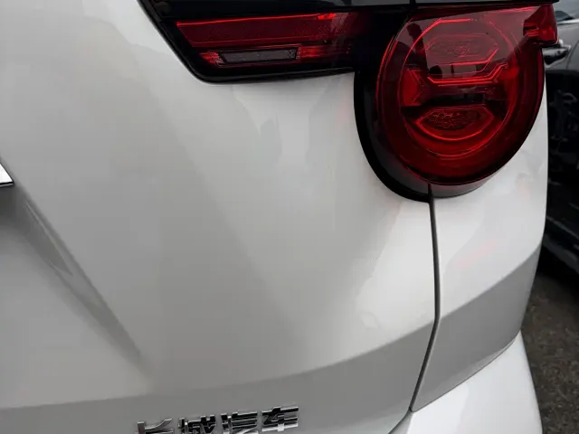 Haval Big Dog — Фото автомобиля 22