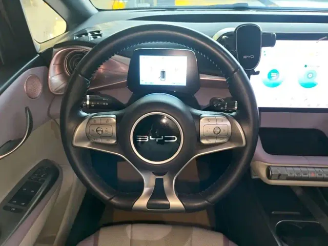 BYD Dolphin — Фото автомобиля 10