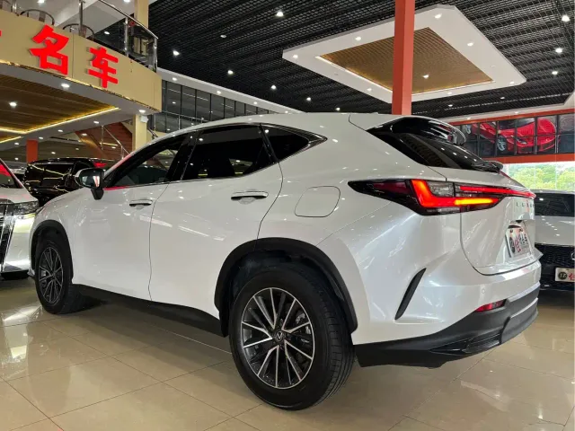 Lexus NX — Фото автомобиля 6
