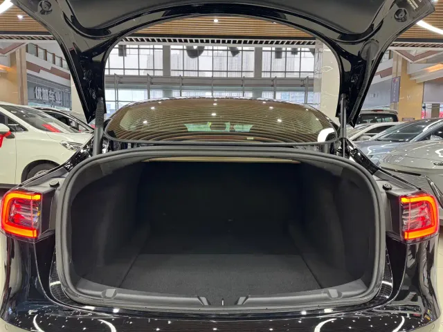 Tesla Model 3 — Фото автомобиля 11