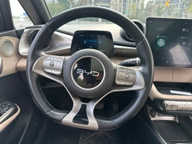 BYD Dolphin — Фото автомобиля 17