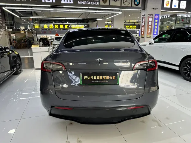 Tesla Model Y — Фото автомобиля 22