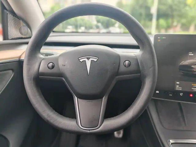 Tesla Model Y — Фото автомобиля 10