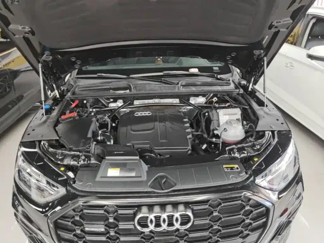 Audi Q5L — Фото автомобиля 19