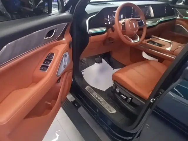 Wey Lanshan — Фото автомобиля 15