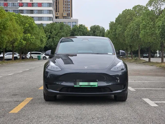 Tesla Model Y — Фото автомобиля 2