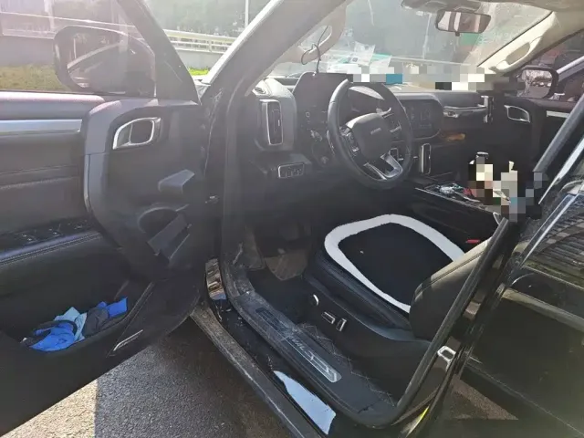 Haval Haval Big Dog 2022 1.5T DCT FWD Border Collie Edition — Фото автомобиля 13