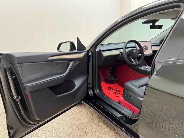 Tesla Model Y — Фото автомобиля 12