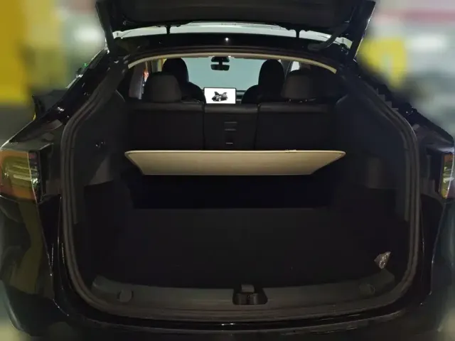 Tesla Model Y — Фото автомобиля 15