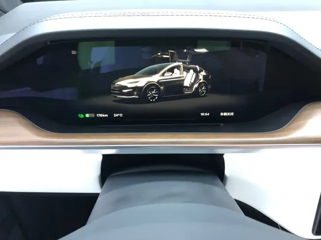 Tesla Model X — Фото автомобиля 18