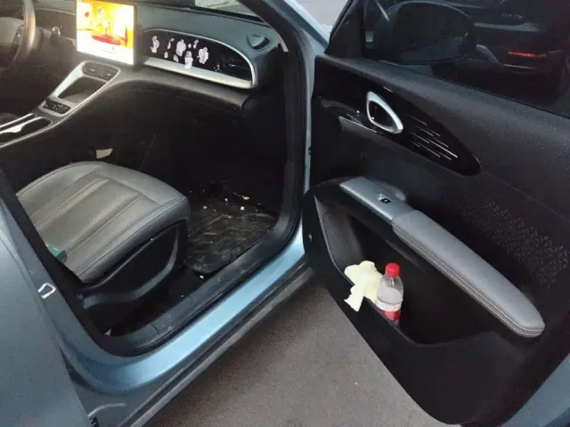 Geely Starry Wish — Фото автомобиля 19