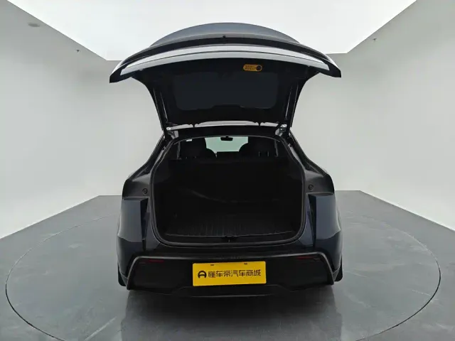 Tesla Model Y — Фото автомобиля 11