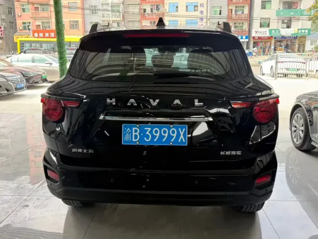 Haval Big Dog — Фото автомобиля 10