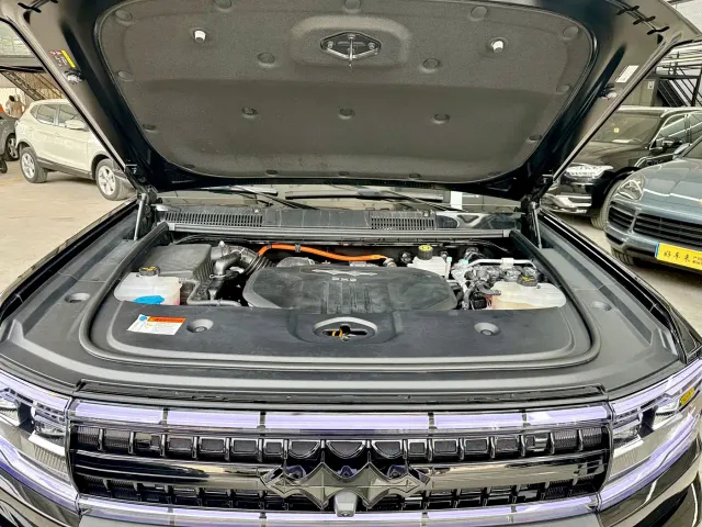 BYD FangChengBao Leopard 5 — Фото автомобиля 19
