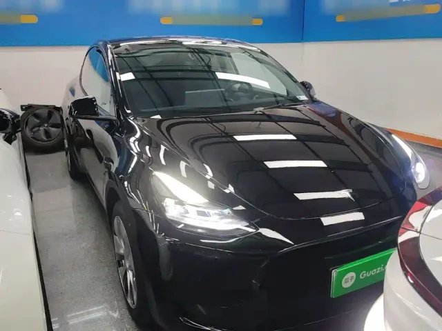 Tesla Model Y — Фото автомобиля 3