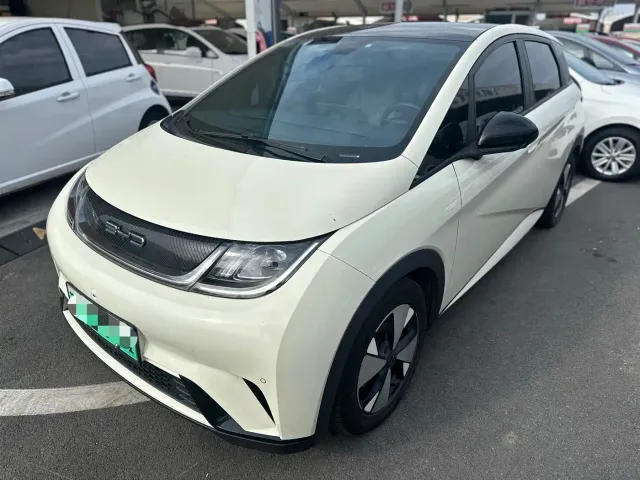 Фотография автомобиля — BYD Dolphin