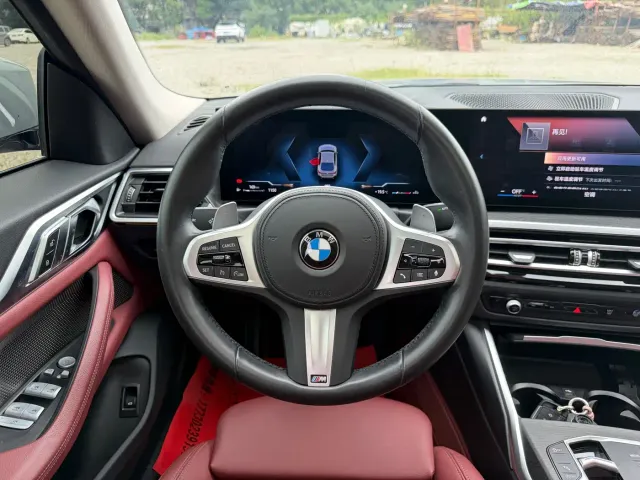BMW 4 Series — Фото автомобиля 15