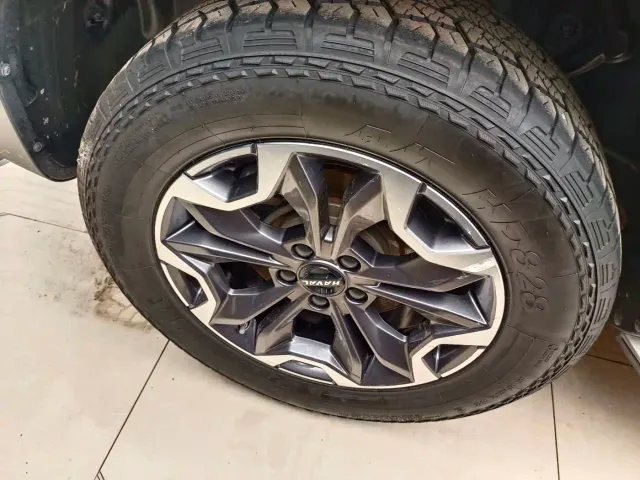 Haval Big Dog — Фото автомобиля 14
