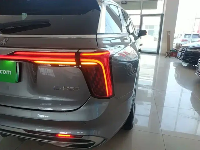 Hongqi E-HS9 — Фото автомобиля 7