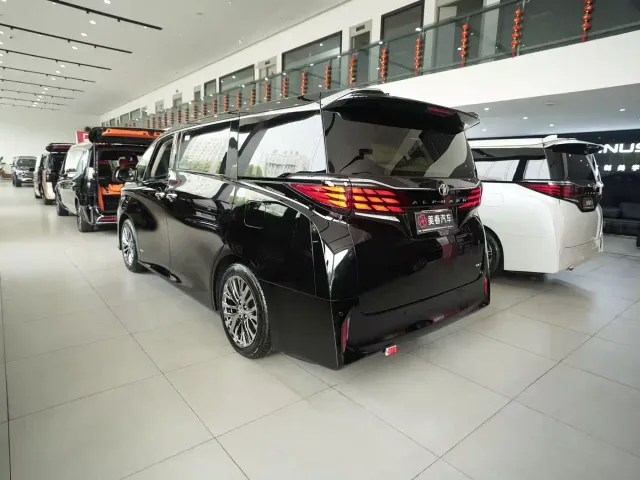 Toyota Alphard — Фото автомобиля 16