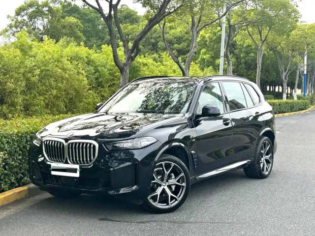 BMW X5 — Фото автомобиля 2